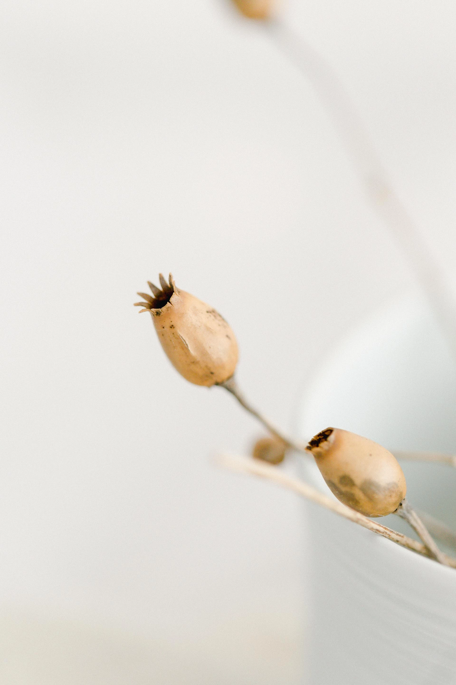 Poterie Hélène Bénéteau